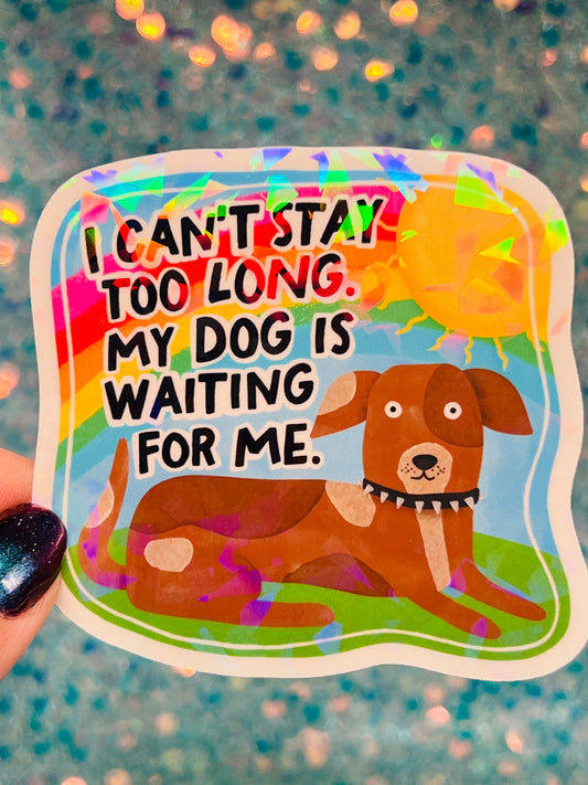 Dog Waiting Holographic Sticker