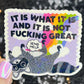 It is what it is and it is not fing great Silly Dark Humor Holographic Sticker Sparkly Spread Positivity Good Vibes Decal Inspirational