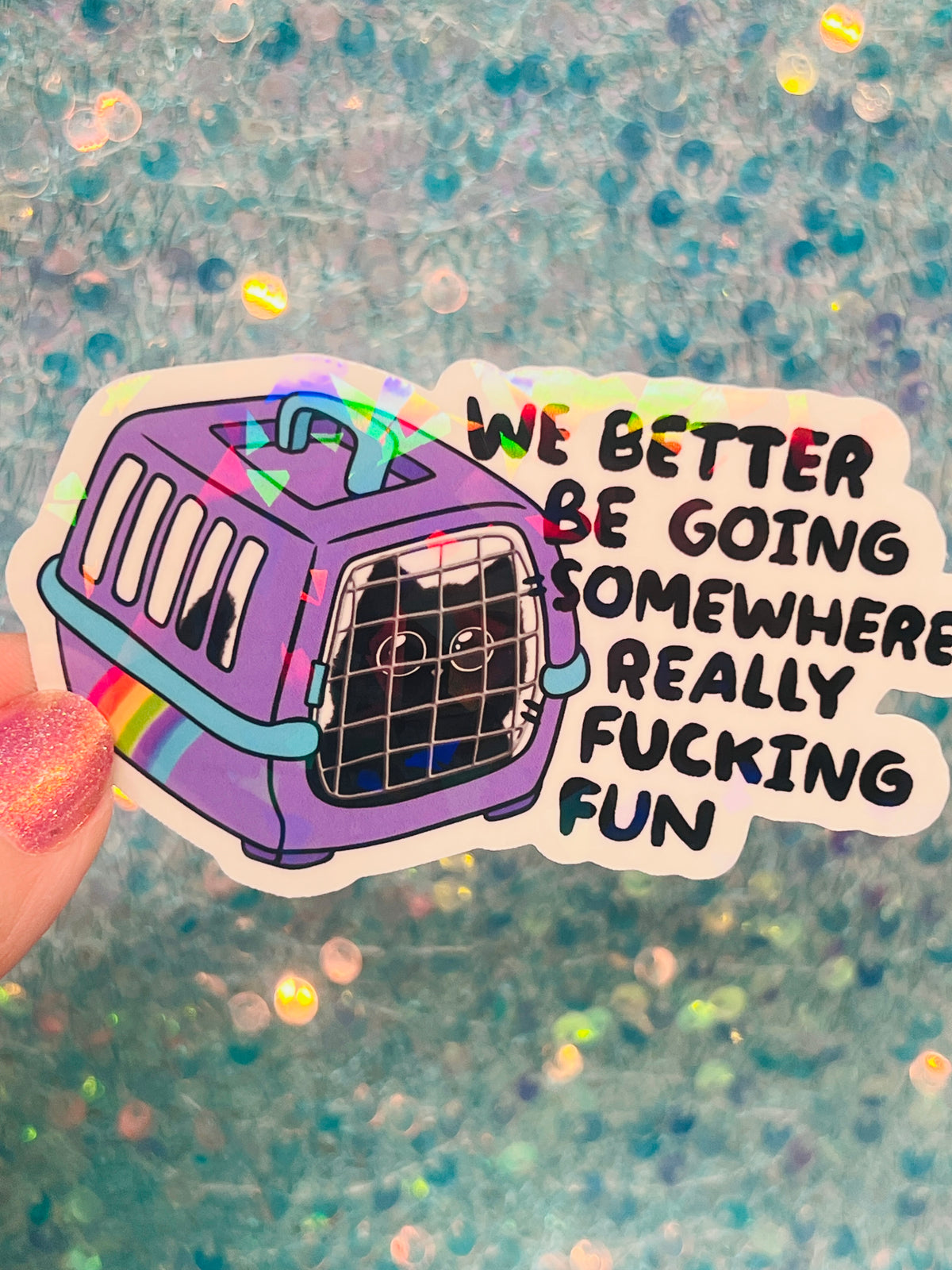 We Better Be Going Somewhere Really Fucking Fun Cat Carrier Sticker