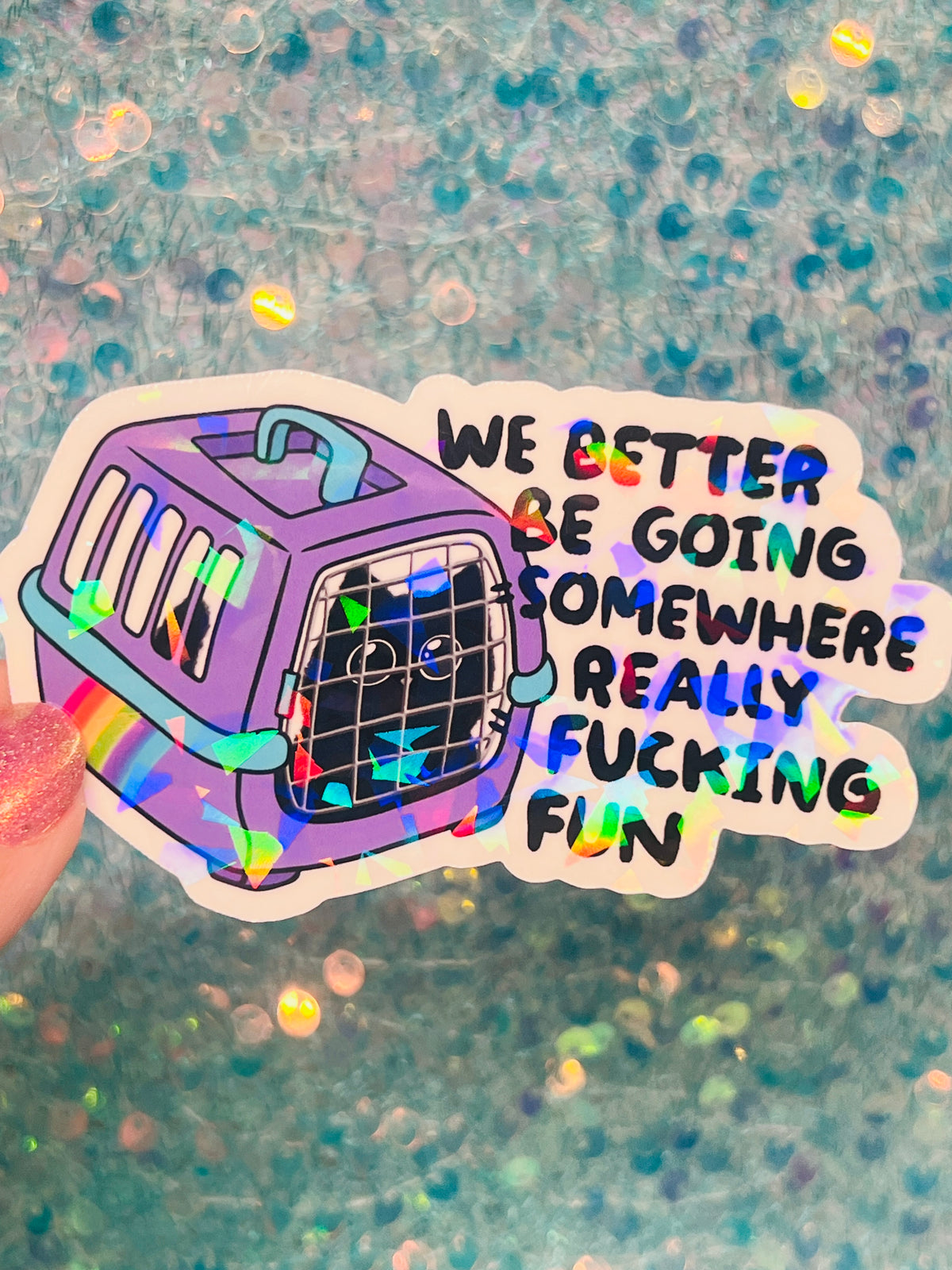 We Better Be Going Somewhere Really Fucking Fun Cat Carrier Sticker
