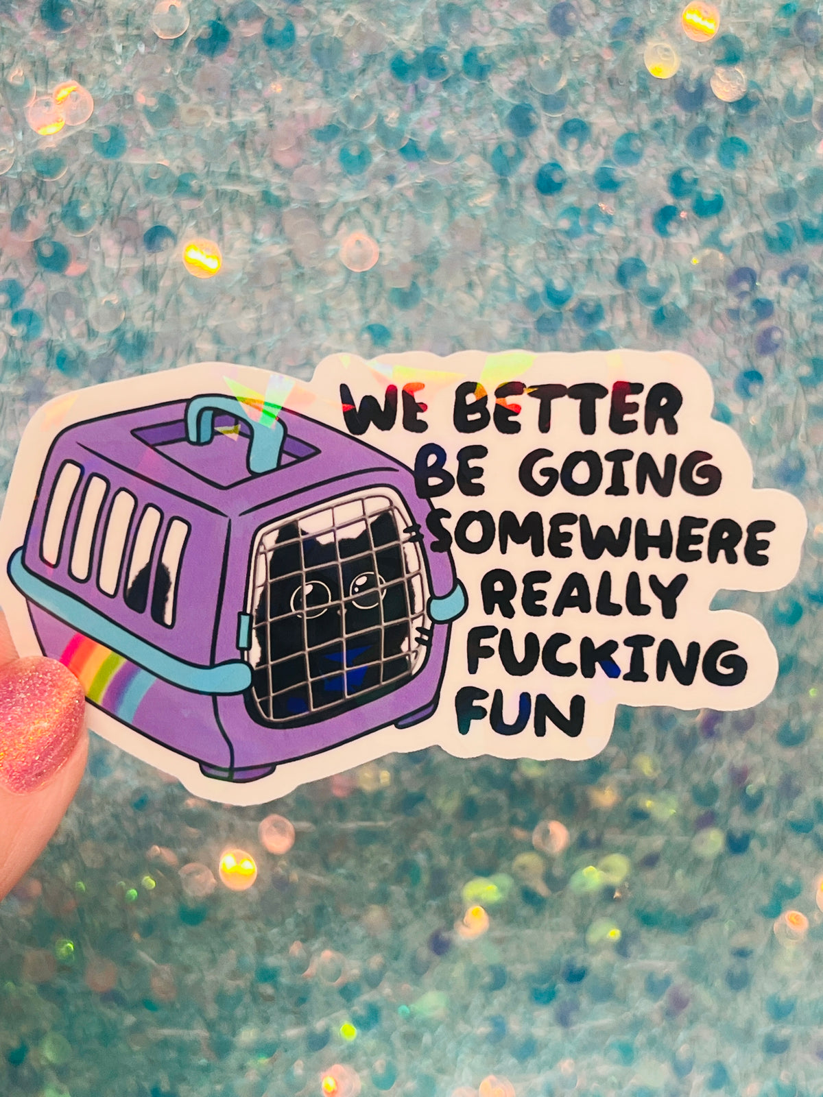 We Better Be Going Somewhere Really Fucking Fun Cat Carrier Sticker