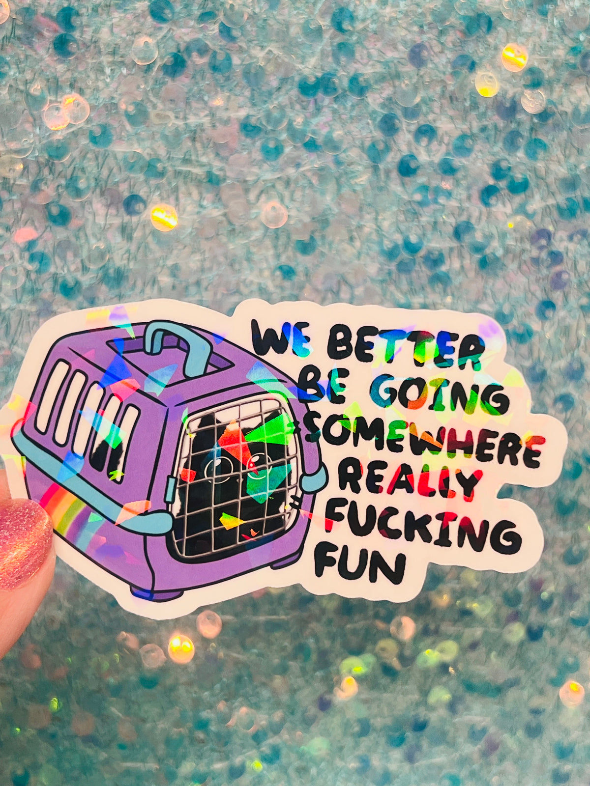 We Better Be Going Somewhere Really Fucking Fun Cat Carrier Sticker