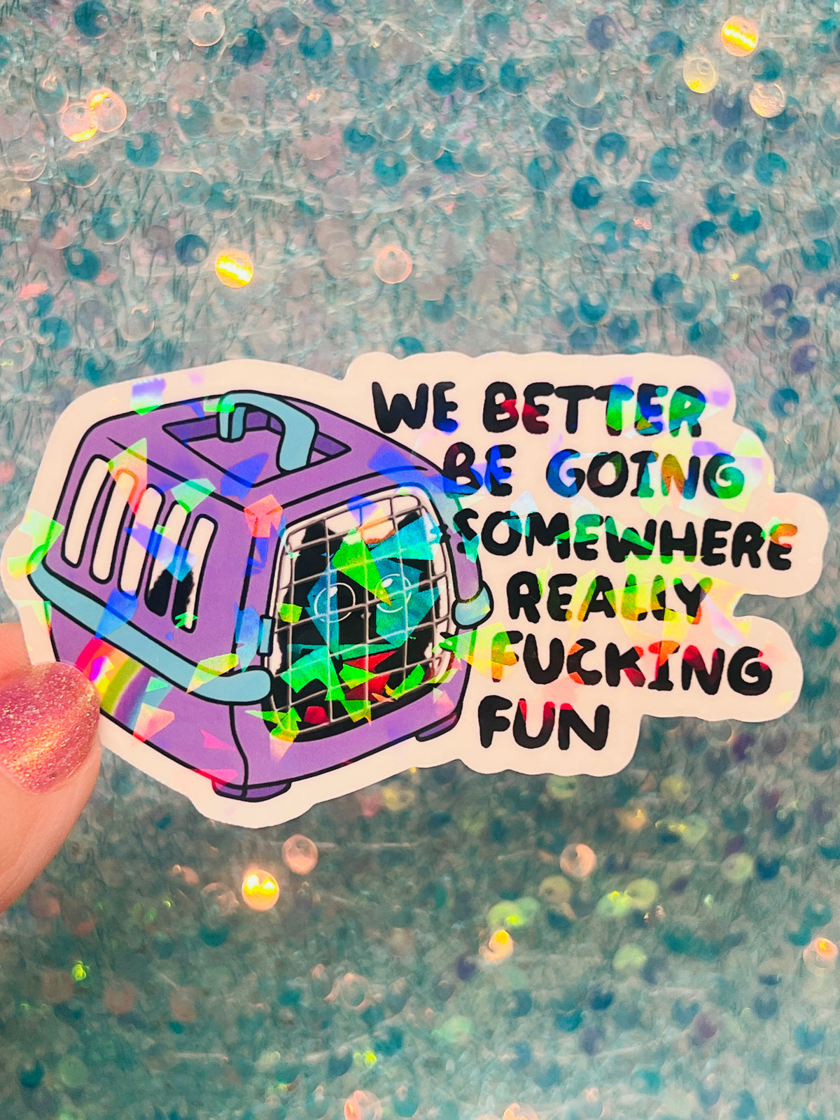 We Better Be Going Somewhere Really Fucking Fun Cat Carrier Sticker